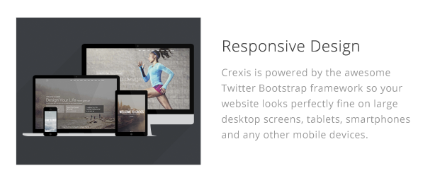 Crexis - Responsive Multi-Purpose Wordpress Theme - 7
